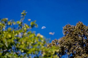 Fenómeno lunar sorprende al amanecer: Tlaxcala se ilumina con un brillo inusual