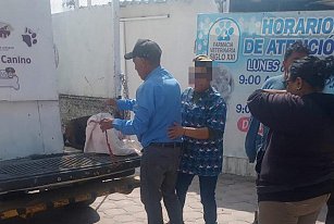 Indignación en Tlaxcala: exigen justicia por perro atacado