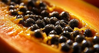 Semillas de papaya: de desecho a ingrediente funcional y nutritivo