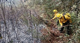 Gobierno de Puebla combate incendios forestales en Tepatlaxco y Huauchinango