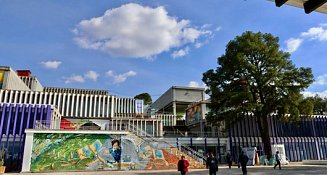 Todo lo que necesitas saber sobre el RVOE para instituciones educativas de salud