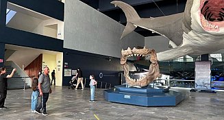 Museos de Puebla: destino cultural durante Semana Santa