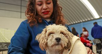 Garantiza Omar Muñoz calidad de vida de mascotas durante su administración 