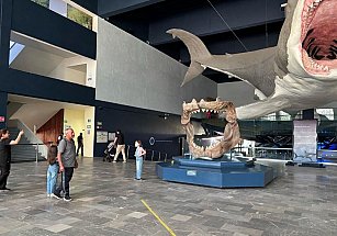 Museos de Puebla: destino cultural durante Semana Santa