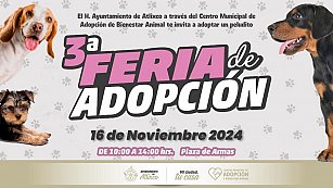 ¡Encuentra a tu nuevo mejor amigo en la Feria de Adopción en Atlixco!