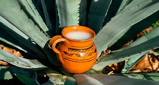 El Pulque: Patrimonio Cultural Inmaterial de la Ciudad de México