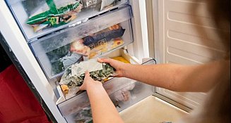 Por qué no debes guardar comida en bolsas de plástico en el refrigerador