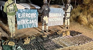 Informe de Seguridad: Detenciones, Drogas y Destrucción de Plantíos en México