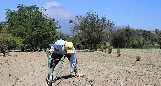 2024 será un año prometedor para el campo tlaxcalteca, asegura la SIA