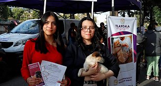 ¡Adogtame 2025 inicia con éxito! 12 perritos encuentran un hogar