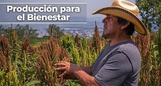 ¡Buenas noticias para Tlaxcala! 20 mil productores recibirán 157 millones en pagos este diciembre