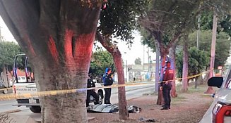 Hallan cuerpo de hombre golpeado en el bulevar Norte, Puebla