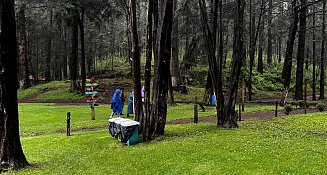 Tlaxcala refuerza vigilancia ambiental en temporada de luciérnagas