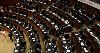 ONU-DH urge al Senado incluir derechos humanos en ley de telecomunicaciones