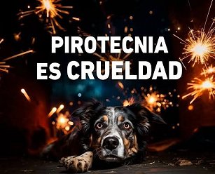  46 municipios para reportar el uso ilegal de pirotecnia y proteger a animales