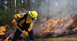 En el estado de Tlaxcala han disminuido los incendios forestales durante este año