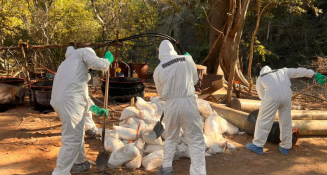 Desmantelan el mayor laboratorio de droga sintética de "Los Mayos" en Sinaloa