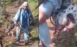 Denuncian racismo en caso de indígena ayuujk acusado de matar a jaguar