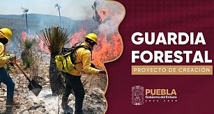 La Guardia Forestal en Puebla: clave para combatir incendios y reforestar