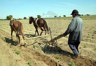 ¡Apoyo histórico al campo de Tlaxcala! 33,000 productores se benefician con millones en recursos federales