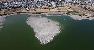 Empresas contaminan laguna en Tlaxcala; PROPAET lanza advertencia