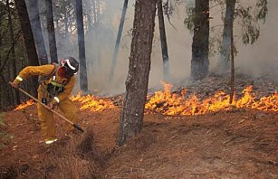 Incendios forestales en Tlaxcala 2024: Impacto y comparación nacional