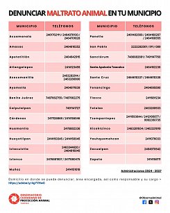 Solo 29 municipios en Tlaxcala cuentan con vías para denunciar maltrato animal: OCPA