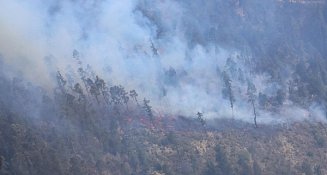 Brigadistas y voluntarios logran sofocar el incendio de Libres en un 80%