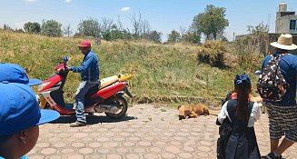 Ciudadanos salvan a perro arrastrado por su dueño en Tlaxcala