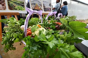 Arranca Programa de Autosuficiencia Alimentaria: Beneficio para 285 Familias