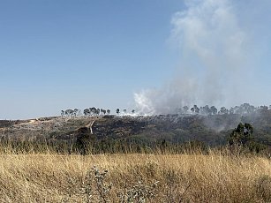 Autoridades combaten incendio en relleno de Nanacamilpa y analizan causas