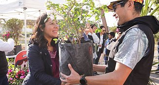 Promueve San Andrés Cholula la Sostenibilidad con la Donación de Árboles y Plantas