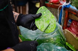 ¡Aumenta el precio del nopal en Tlaxcala! ¿Qué está pasando con este básico de la dieta mexicana?