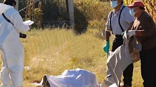 Hallazgo de cuerpos en la autopista Puebla-Orizaba