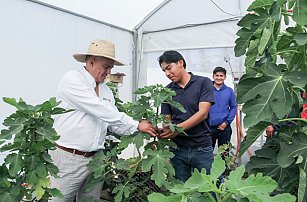 UTTecam impulsa la educación agrícola con módulos hidropónicos