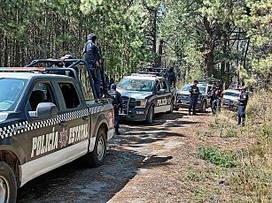 Operativo de seguridad en La Malinche asegura 91 troncos de tala ilegal