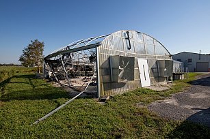 Impacto del huracán Milton: pérdidas agrícolas de hasta $642.7 millones