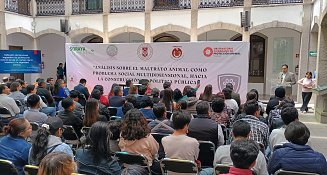 Maltrato Animal: Un problema social que requiere políticas públicas efectivas