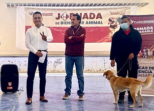 Ayuntamiento de Puebla realiza Jornada de Protección Animal en La Guadalupana