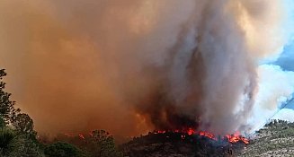 Graves incendios forestales arrasan zonas clave de Tlaxcala en 2025