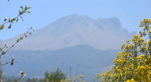 ¿Hay actividad en la Malinche? Lo que expertos y autoridades informan