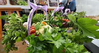 Arranca Programa de Autosuficiencia Alimentaria: Beneficio para 285 Familias