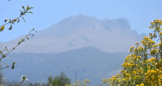 ¿Hay actividad en la Malinche? Lo que expertos y autoridades informan