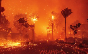 Factores de incendios forestales en Los Ángeles: devastación sin precedentes