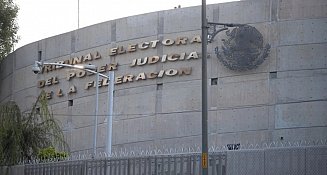 TEPJF avala revisión del INE para impedir jueces con historial delictivo