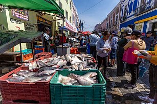  Afluencia alta, pero ventas bajas en el Mercado de Mariscos de la 18 Poniente en Puebla