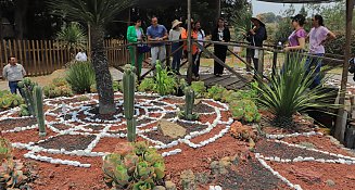 Aprende a Monitorear Aves: Taller en el Jardín Etnobiológico Tlaxcallan