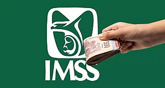 ASF señala corrupción en contratos del IMSS por más de 1,226 MDP