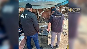 Tijuana rescata 21 aves en operativos contra venta ilegal