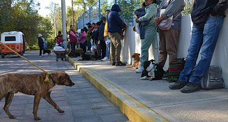 Inició Armando Aguirre Jornada de Esterilización de mascotas